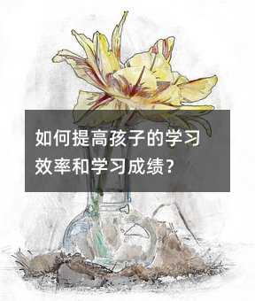 如何提高孩子的学习效率和学习成绩?