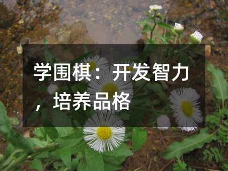 学围棋:开发智力,培养品格