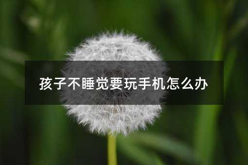 孩子不睡觉要玩手机怎么办