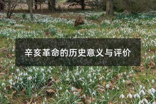 辛亥革命的历史意义与评价