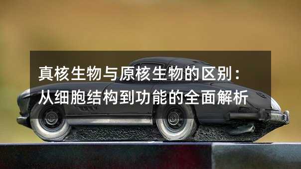 ���������ԭ����������𣺴�ϸ���ṹ�����ܵ�ȫ�����