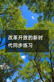 改革开放的新时代同步练习