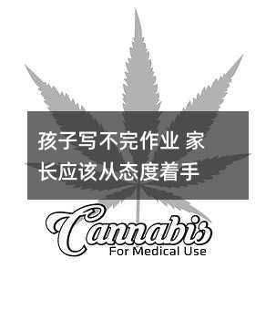 孩子写不完作业 家长应该从态度着手