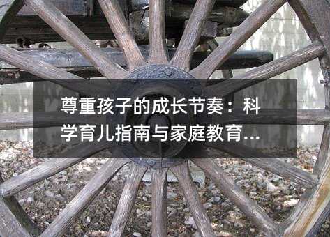 尊重孩子的成长节奏:科学育儿指南与家庭教育建议