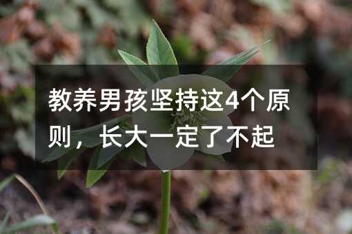 教养男孩坚持这4个原则,长大一定了不起