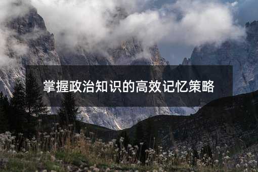 掌握政治知识的高效记忆策略