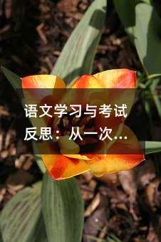 语文学习与考试反思:从一次考试中汲取成长的力量