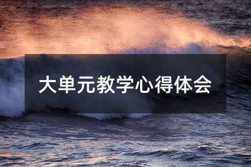 大单元教学心得体会