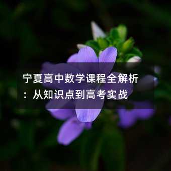 宁夏高中数学课程全解析:从知识点到高考实战