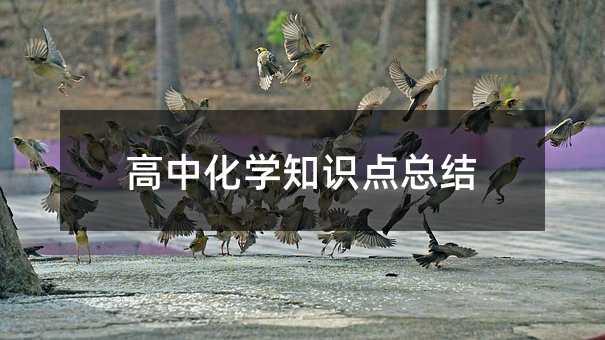 高中化学知识点总结