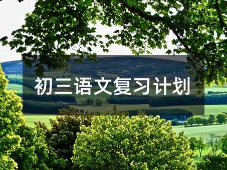 初三语文复习计划