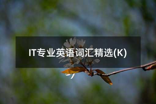 ITרҵӢʻ㾫ѡ(K)