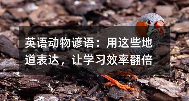 ӢﶯЩصѧϰЧʷ