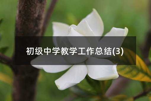 初级中学教学工作总结(3)