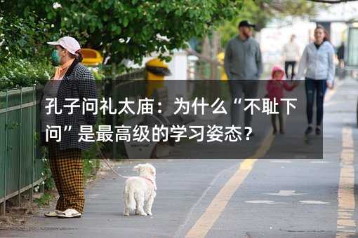 孔子问礼太庙:为什么“不耻下问”是最高级的学习姿态?