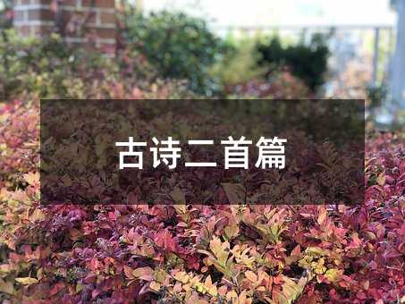 古诗二首篇