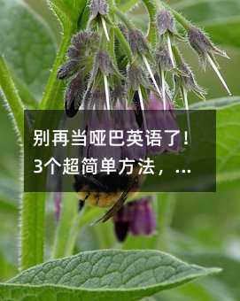 ���ٵ��ư�Ӣ���ˣ�3�����򵥷��������㿪��˵Ӣ�����ǻԲ������