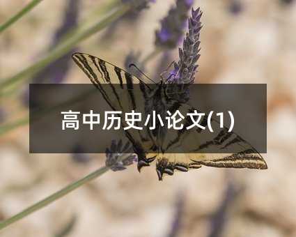 ������ʷС����(1)