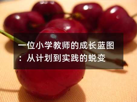 一位小学教师的成长蓝图:从计划到实践的蜕变