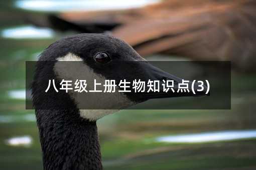 ���꼶�ϲ�����֪ʶ��(3)