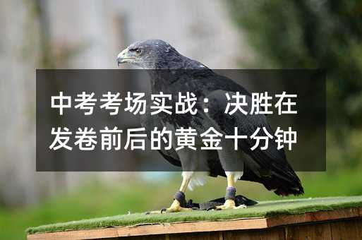�п�����ʵս����ʤ�ڷ���ǰ��Ļƽ�ʮ����
