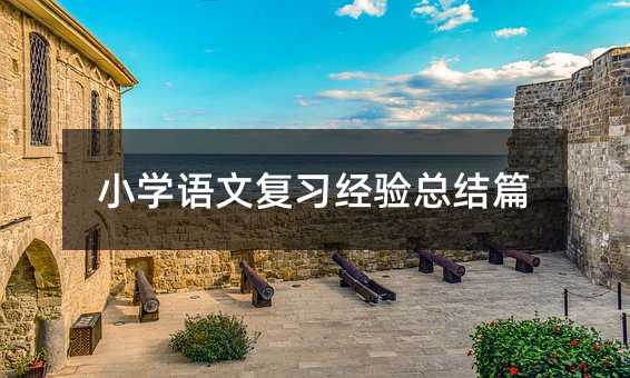 小学语文复习经验总结篇