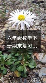 六年级数学下册期末复习计划