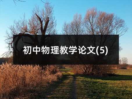 初中物理教学论文(5)