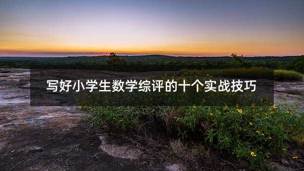 写好小学生数学综评的十个实战技巧
