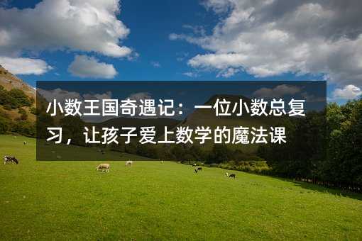 小数王国奇遇记:一位小数总复习,让孩子爱上数学的魔法课