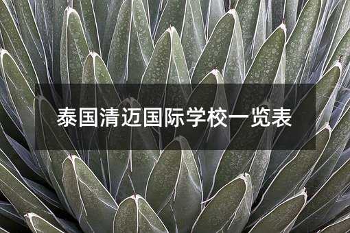 泰国清迈国际学校一览表