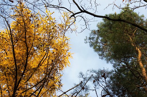初中期末复习方法分享