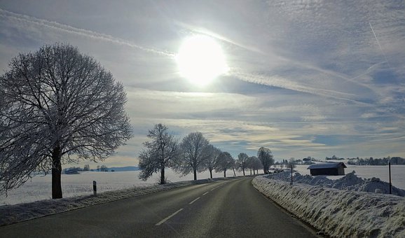 英语热词:“弹性学制”和“休学创业”
