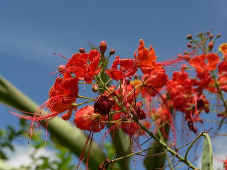 郑州中考:分数线或将比去年降5~10分