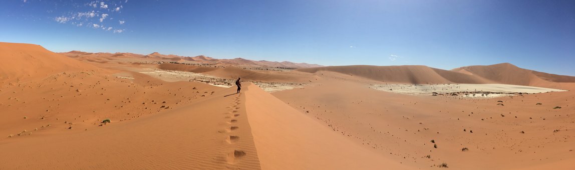 �߶���ѧѡ���Ա���һ���ع�ʵ���ҵ����֡��ϻ�ơ���ϸ���������Ļ�ѧ����