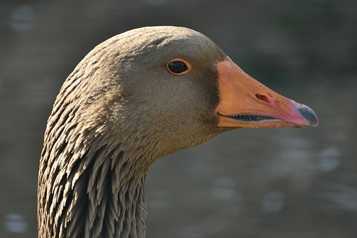 名师指点:高考各科复习技巧