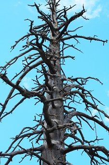 ��������ѧ����ѧ��