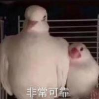 郑教员