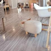 ѧϰ������